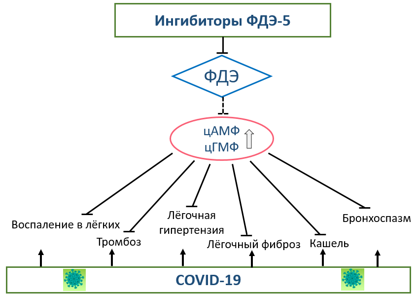 Патологические процессы